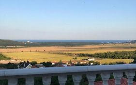 Studio Javor